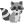 raccoon